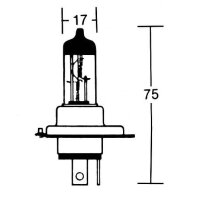 HS1 incandescent lamp 12V 35/35W PX43t