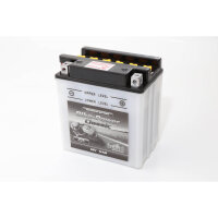 INTACT Bike Power Classic Batterie CB 10L-A2 mit...