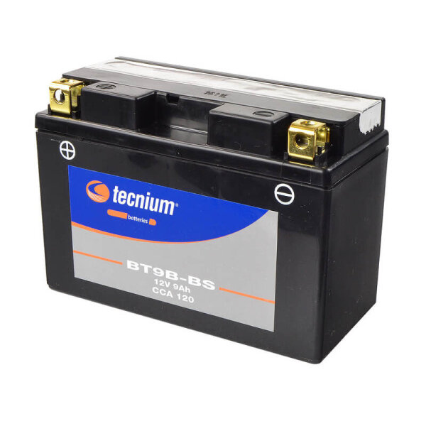 tecnium AGM battery with acid pack - BT9B-BS