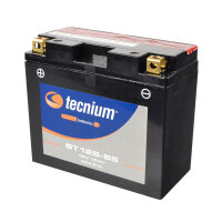 tecnium AGM battery with acid pack - BT12B-BS