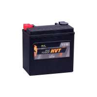 INTACT Bike Power HVT Batterie YTX14L-BS, gefüllt und geladen, 250 A