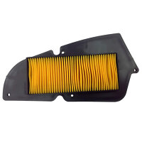CHAMPION Air filter for various models