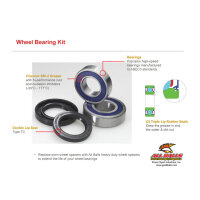 ALL BALLS Wheel bearing kit 25-1692, models with ABS